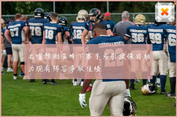 名嘴预测黄蜂下赛季或引援强将助力现有阵容争取佳绩