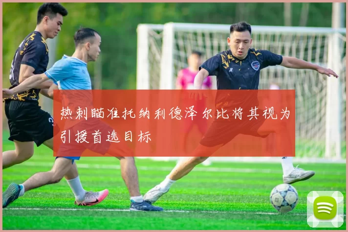 热刺瞄准托纳利德泽尔比将其视为引援首选目标